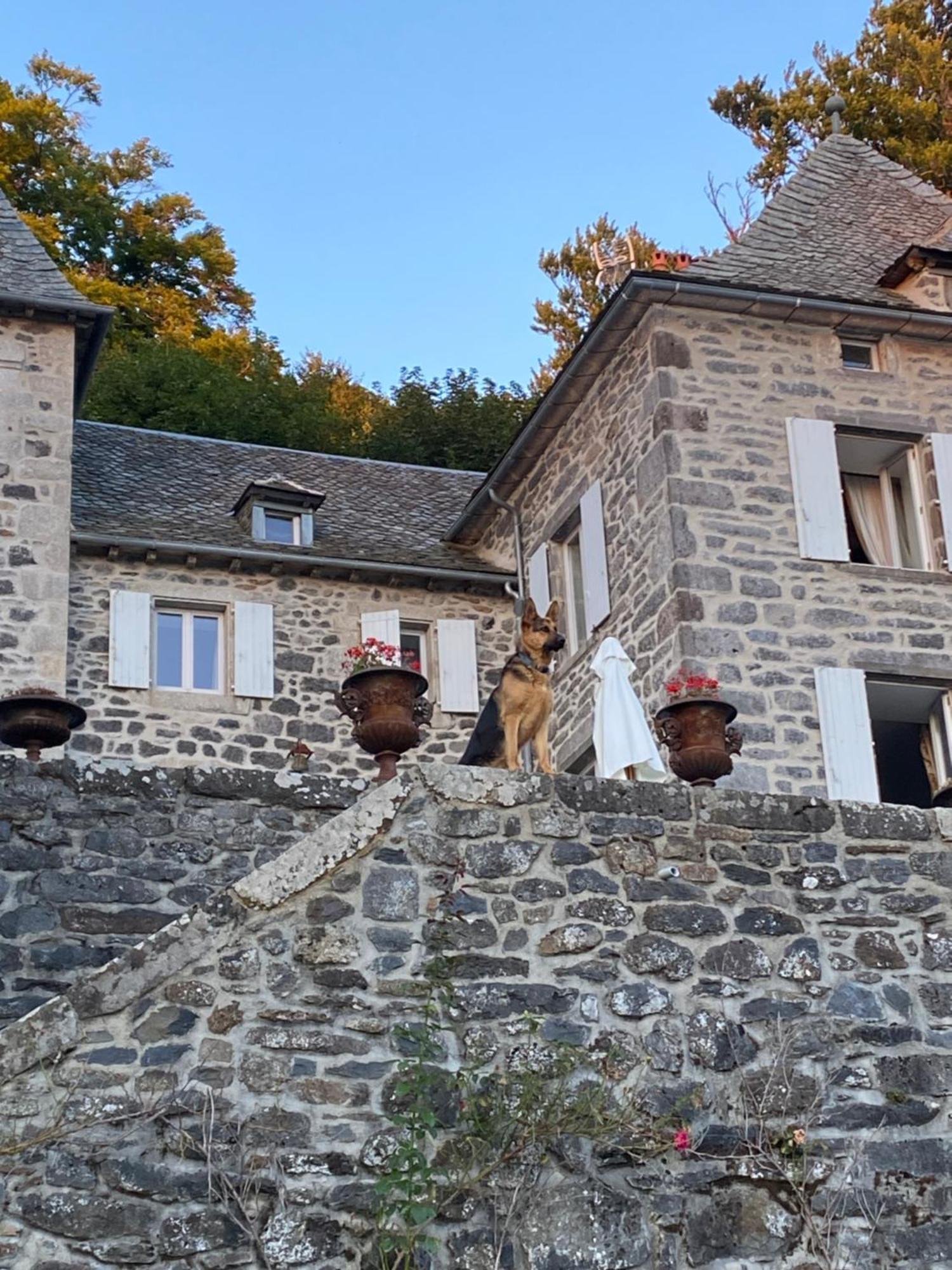 Curieres Chateau Du Puech المظهر الخارجي الصورة